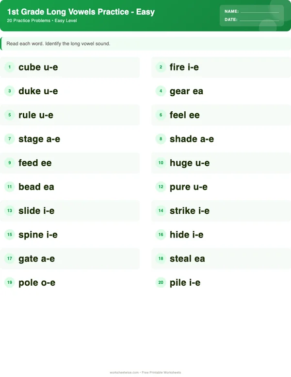 1st Grade Long Vowels Worksheets - Dinosaur Theme (Easy)