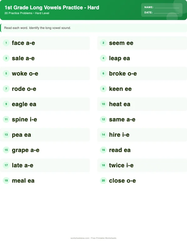 1st Grade Long Vowels Worksheets - Dinosaur Theme (Hard)