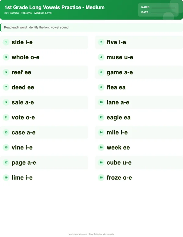 1st Grade Long Vowels Worksheets - Dinosaur Theme (Medium)