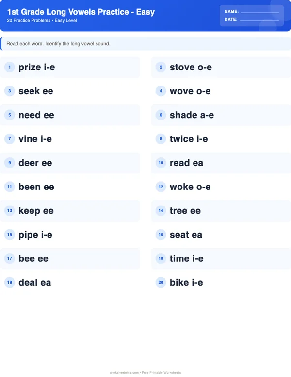1st Grade Long Vowels Worksheets - Standard Theme (Easy)