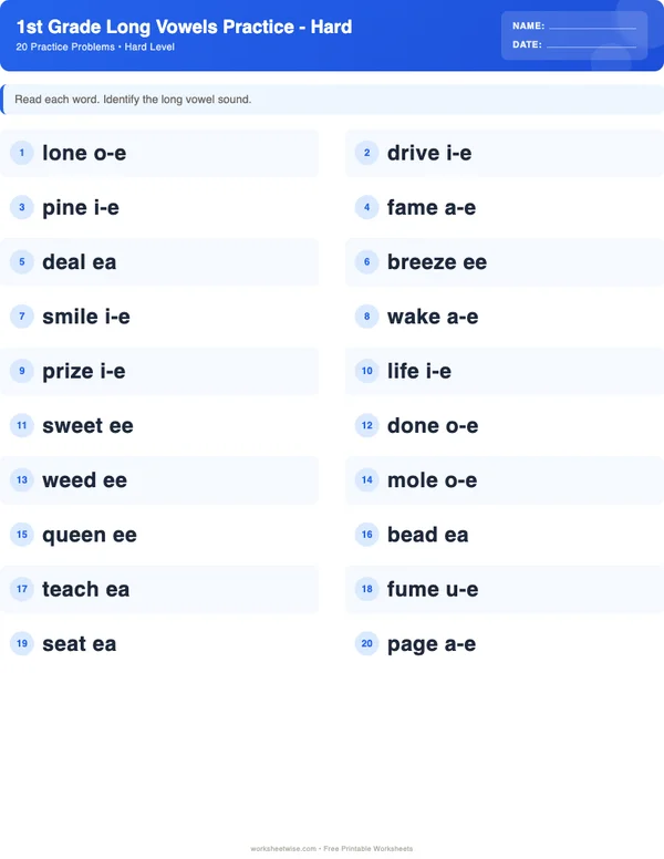 1st Grade Long Vowels Worksheets - Standard Theme (Hard)