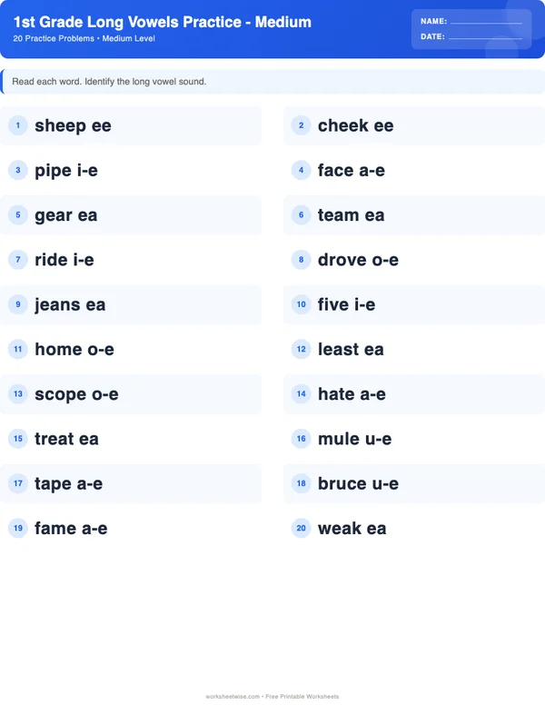 1st Grade Long Vowels Worksheets - Standard Theme (Medium)