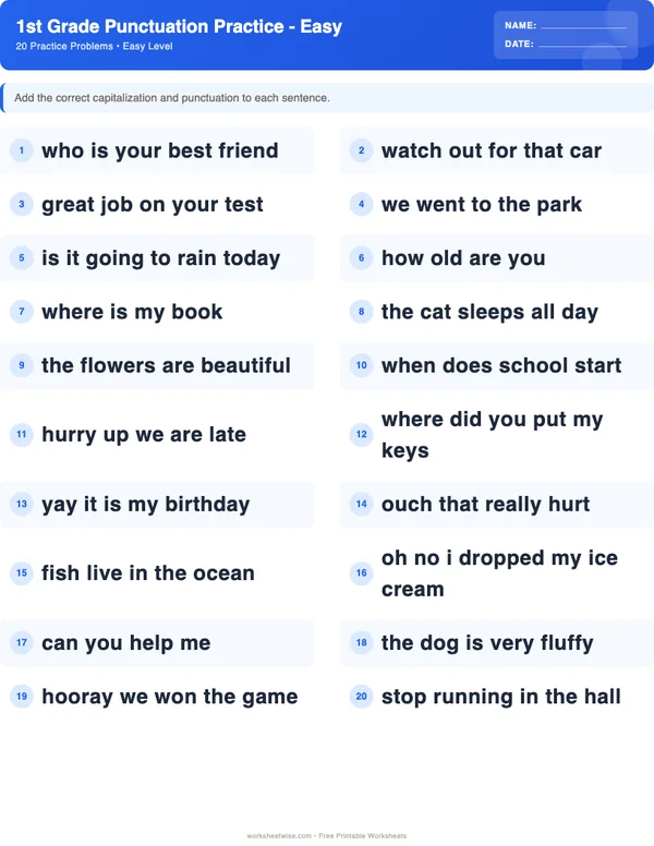 1st Grade Punctuation Worksheets - Standard Theme (Easy)