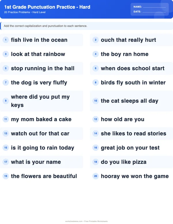 1st Grade Punctuation Worksheets - Standard Theme (Hard)