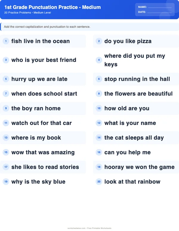 1st Grade Punctuation Worksheets - Standard Theme (Medium)