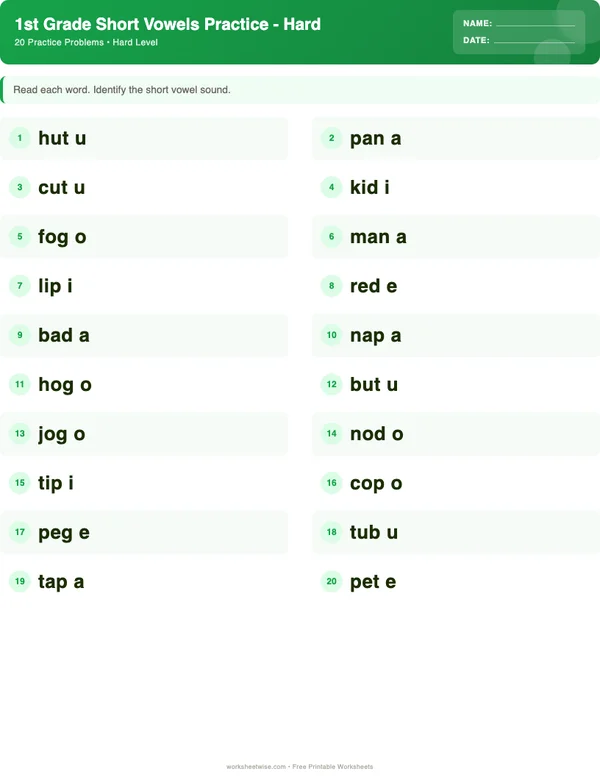 1st Grade Short Vowels Worksheets - Dinosaur Theme (Hard)