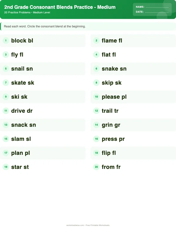 2nd Grade Consonant Blends Worksheets - Dinosaur Theme (Medium)