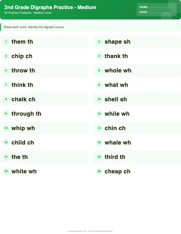 2nd Grade Digraphs Worksheets - Dinosaur Theme (Medium)