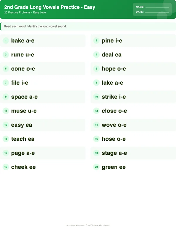 2nd Grade Long Vowels Worksheets - Dinosaur Theme (Easy)