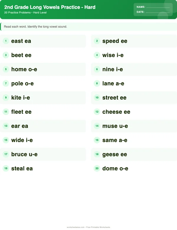 2nd Grade Long Vowels Worksheets - Dinosaur Theme (Hard)
