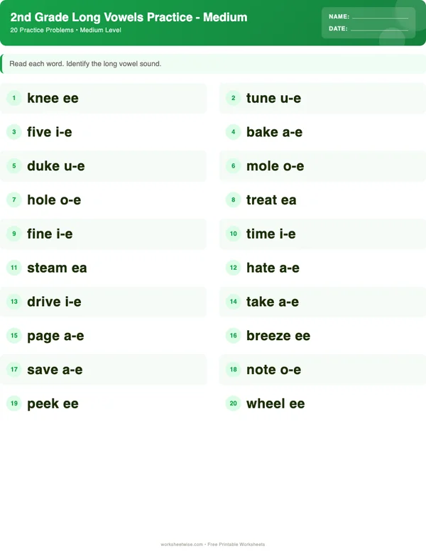 2nd Grade Long Vowels Worksheets - Dinosaur Theme (Medium)