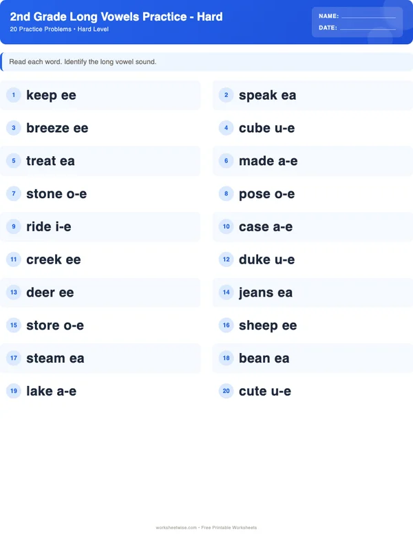 2nd Grade Long Vowels Worksheets - Standard Theme (Hard)