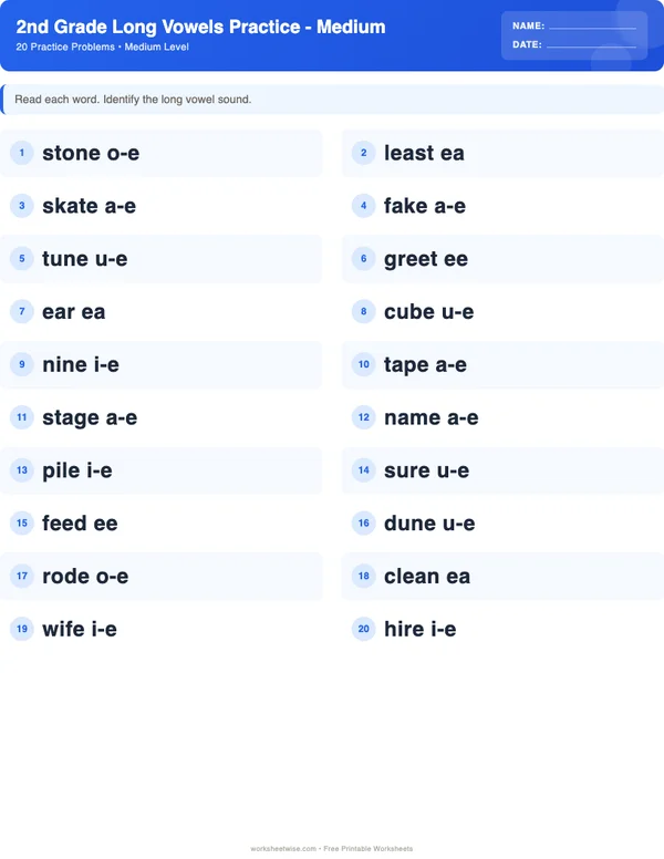 2nd Grade Long Vowels Worksheets - Standard Theme (Medium)