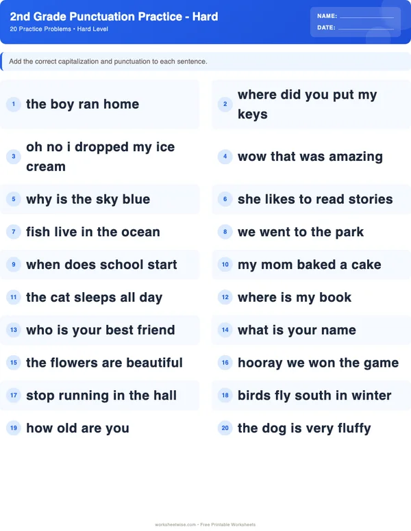 2nd Grade Punctuation Worksheets - Standard Theme (Hard)