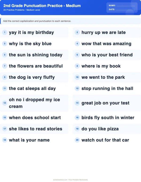 2nd Grade Punctuation Worksheets - Standard Theme (Medium)