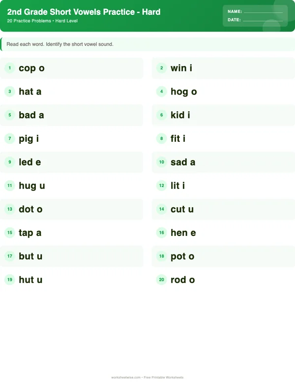 2nd Grade Short Vowels Worksheets - Dinosaur Theme (Hard)