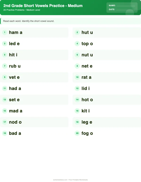 2nd Grade Short Vowels Worksheets - Dinosaur Theme (Medium)