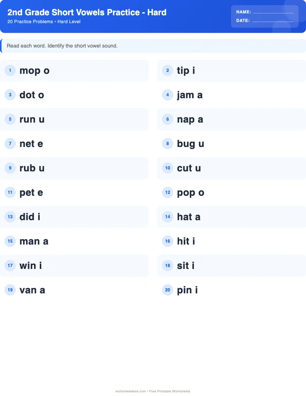 2nd Grade Short Vowels Worksheets - Standard Theme (Hard)