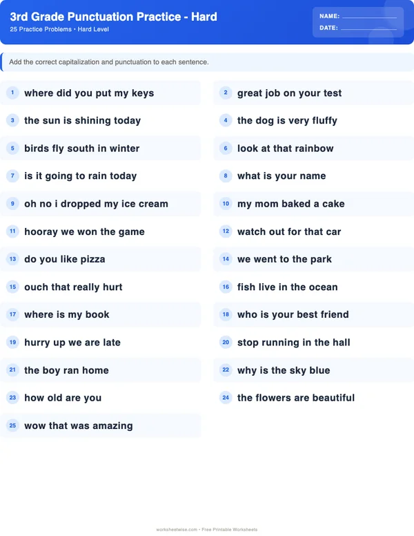 3rd Grade Punctuation Worksheets - Standard Theme (Hard)