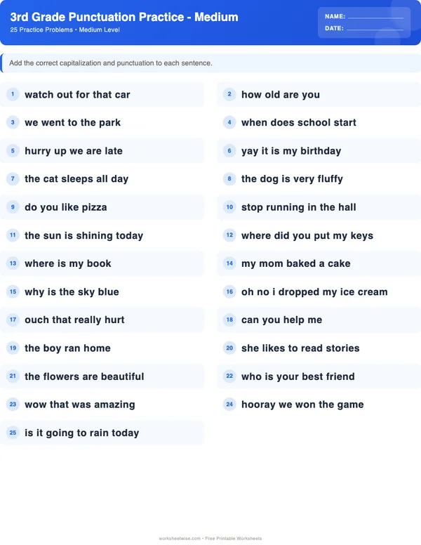 3rd Grade Punctuation Worksheets - Standard Theme (Medium)