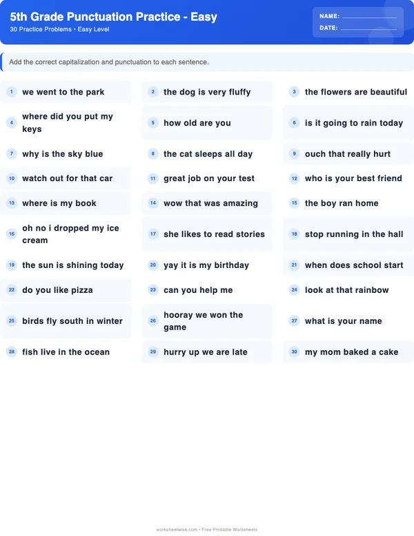 5th Grade Punctuation Worksheets - Standard Theme (Easy)