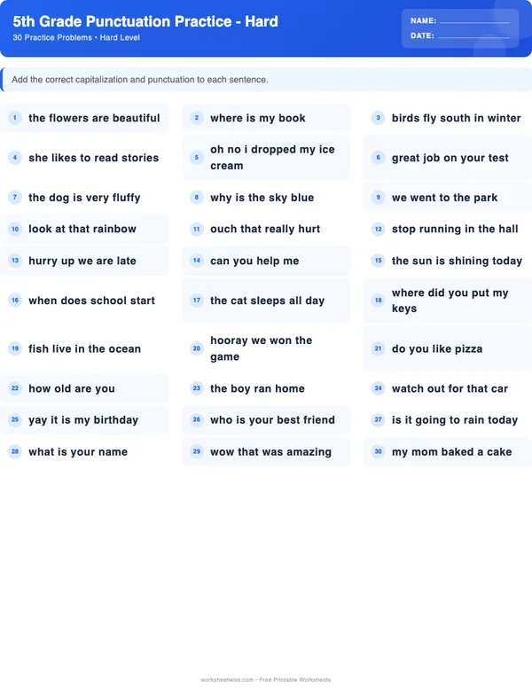 5th Grade Punctuation Worksheets - Standard Theme (Hard)