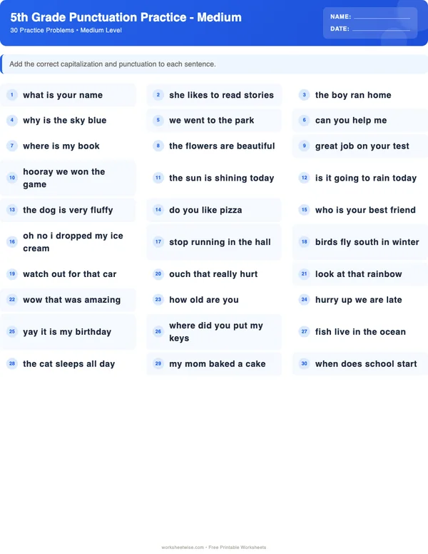 5th Grade Punctuation Worksheets - Standard Theme (Medium)