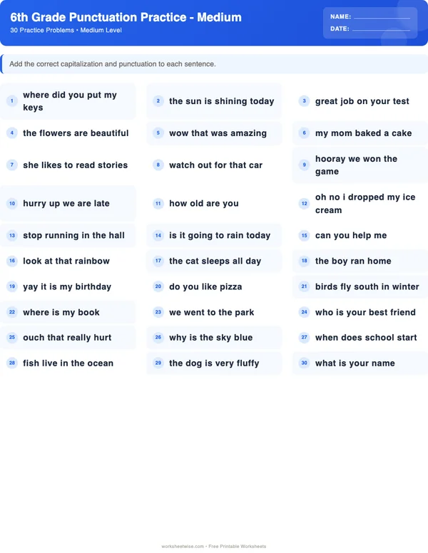 6th Grade Punctuation Worksheets - Standard Theme (Medium)